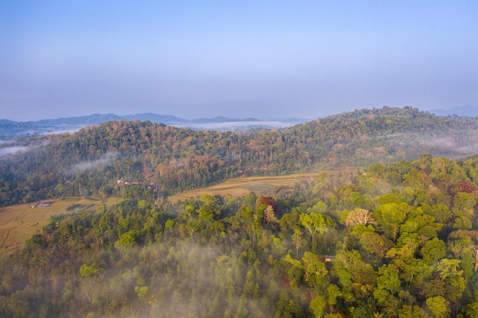 Ama Stays & Trails, Rare Earth Estate Мадикери Экстерьер фото